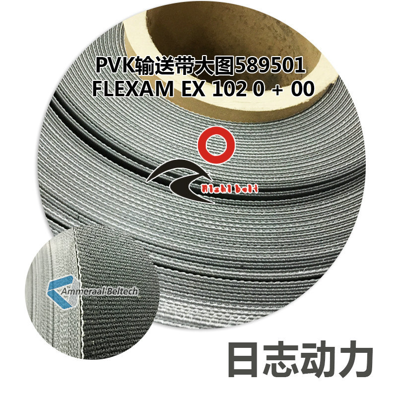 PVK輸送帶大圖589501 Flexam EX 102 0